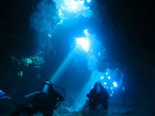 257 Lahaina Divers.JPG