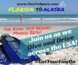 #GetYourFinsOn (2).png