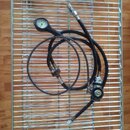 DIL.REG.HOSES.jpg