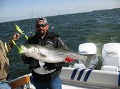 IMG_3421.jpg