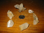 IMG_1725.JPG