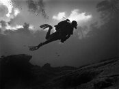 DIVE.JPG