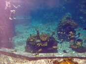 No Fisheye.JPG