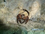Dive Pics 09-10 177.jpg