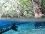 Dive Pics 09-10 206.jpg