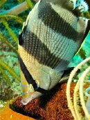 IMG_3104.jpg