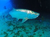 IMG_3301.jpg