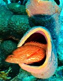 IMG_3653.jpg