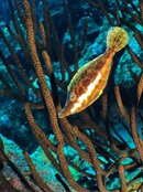 IMG_3661.jpg
