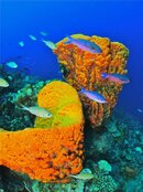 IMG_3731.jpg