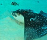 IMG_3861.jpg