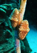 IMG_3974.jpg