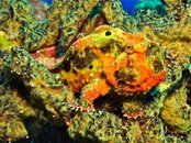 IMG_4024.jpg