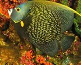 IMG_4203.jpg