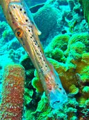 IMG_4284.jpg