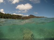 IMG_0278.jpg