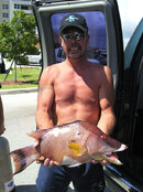 Hog-Fish.jpg