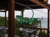 Iguana Tire.jpg