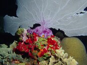 EM500183.jpg