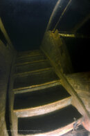Waome Basement Steps DSC_2564.jpg
