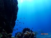 P4040107.JPG