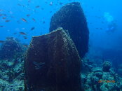 P4040151.JPG