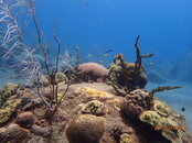 P4040170.JPG