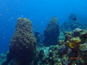 P4040176.JPG