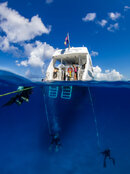 TCI-105.jpg TCI-105.jpg