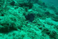 IMG_4927.JPG