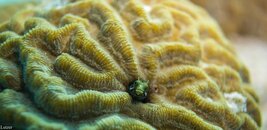 Bonaire-18.jpg Bonaire-18.jpg