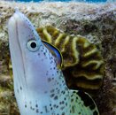 Bonaire-22.jpg Bonaire-22.jpg