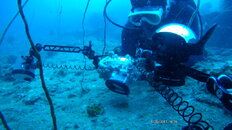 FHD0119.JPG