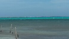 20170531_133254.jpg