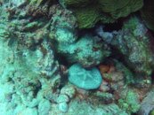 IMG_0057.JPG