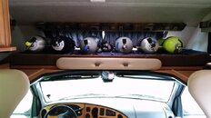 20150815_164408.jpg