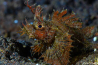 DSC07784.jpg