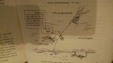 IMG_20170606_204245716.jpg