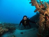 Jupiter dive (1) (Small).jpg