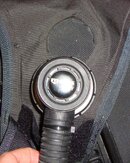 DSC00771.jpg
