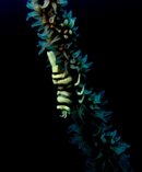 IMG_0359.JPG