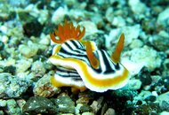 IMG_0629.JPG