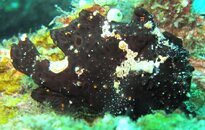 IMG_0699.JPG