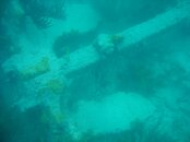 DSCN3238.jpg