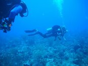 Divers 3.jpg