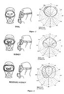 Mask Field of View1.jpg