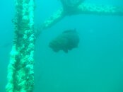 DSCN0168.JPG