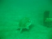 IMG_0659.JPG