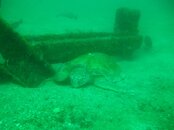 IMG_0671.JPG