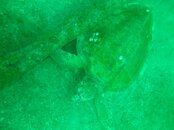 IMG_0675.JPG